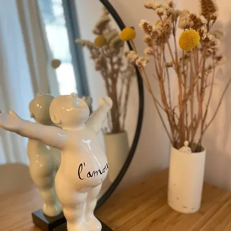 Appartement Joli Avec Cour Privee Proche Gare & Centre *