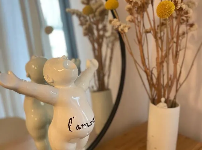 Apartment Joli Avec Cour Privee Proche Gare & Centre *